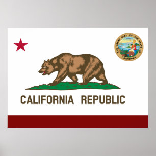 California flagga poster