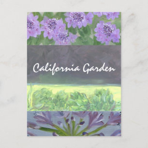 California Garden Vykort