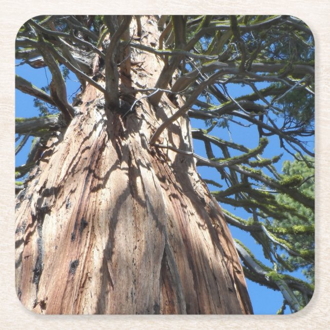 California Giant Underlägg Papper Kvadrat (Framsidan)