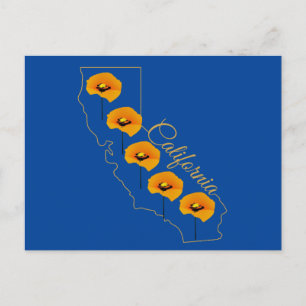 California Golden State Poppy Blommigt Postcard Vykort