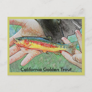 California Golden Trout Postcard Vykort