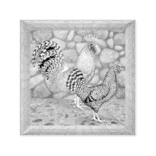 California Grått Chickens Självfärgande Stämpel