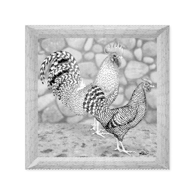 California Grått Chickens Självfärgande Stämpel (Design)