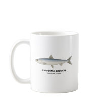 California Grunion - Marine Animals of California