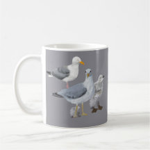 California Gull Mugg