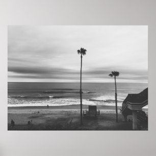 California Handflatan Träd Poster