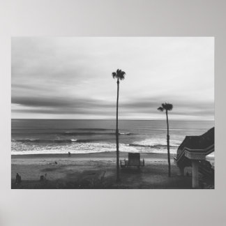 California Handflatan Träd Poster