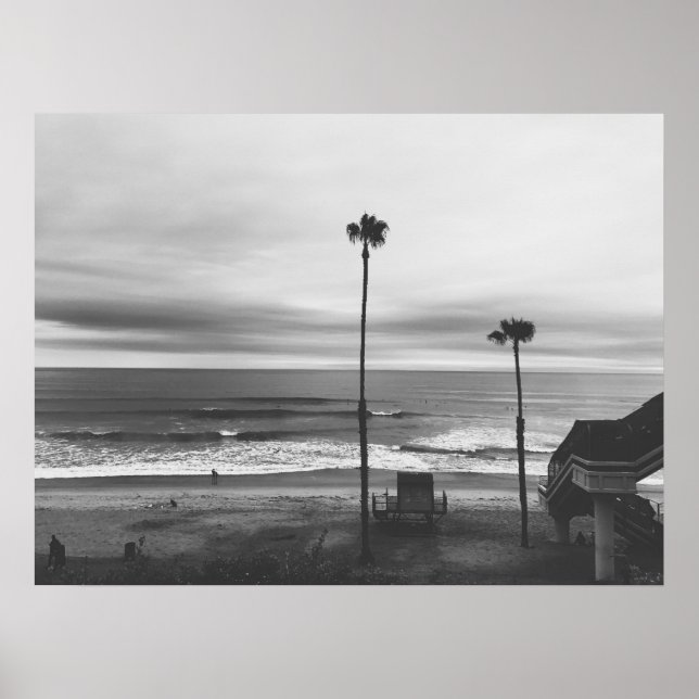California Handflatan Träd Poster (Framsidan)