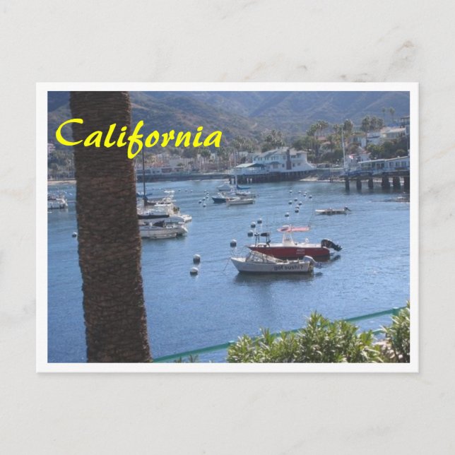 California Har Sushi Postcard Vykort (Framsida)