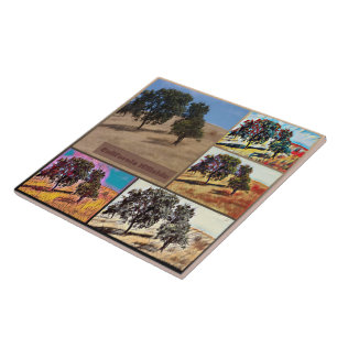 California Hillside Abstrakt Photo Collage 9979 Kakelplatta