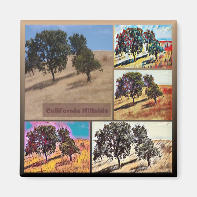 California Hillside Abstrakt Photo Collage 9979 Magnet (Framsidan)
