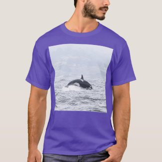 California Killer Whale CA40 T Shirt