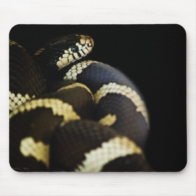 California Kung Snake Mousepad Musmatta (Framsidan)
