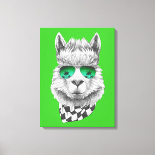 California llama canvastryck