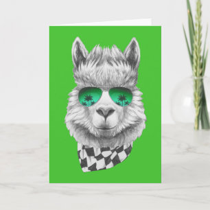 California llama kort