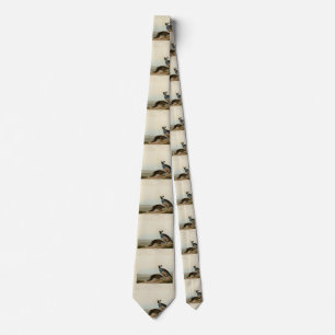 California Partridge - Audubon's Birds of America Slips