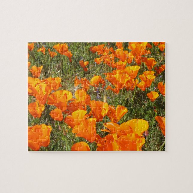 California Poppies Jigszawa Puzzle Pussel (Horisontell)