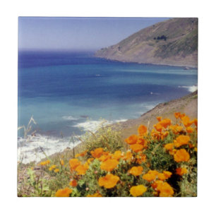 California Poppies Kakelplatta