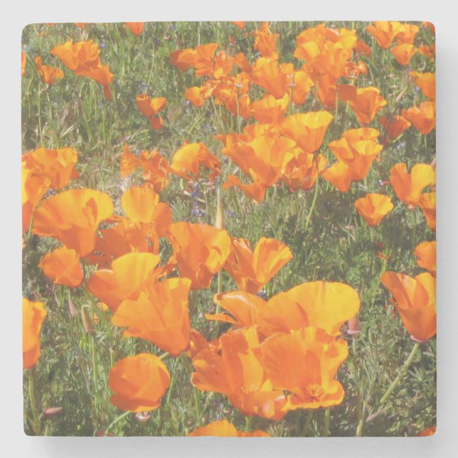 California Poppies Stone Underlägg (Framsidan)