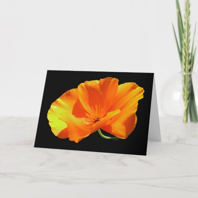 California Poppy Blank Kort (Framsida)