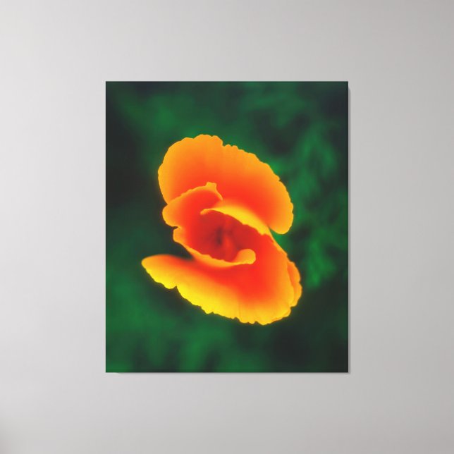 California Poppy Canvastryck (Framsida)