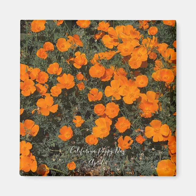 California Poppy Day Magnet (Framsidan)