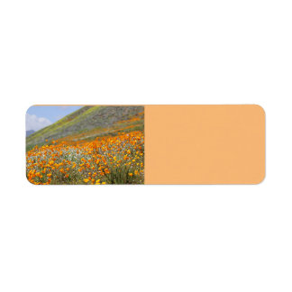 California Poppy Fält Returetiketters Returadress Etikett