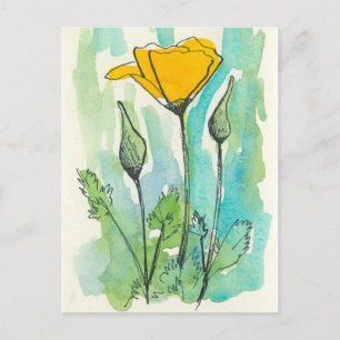 California Poppy Flower Bloom Vår Grönt Vykort