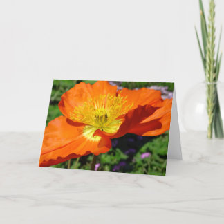 California Poppy Greeting Card Kort