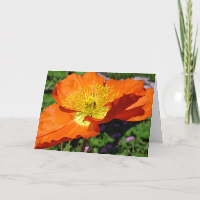 California Poppy Greeting Card Kort (Framsida)