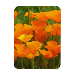 California poppy impasto magnet