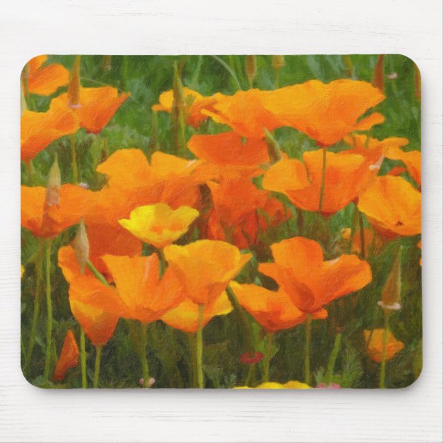 California poppy impasto musmatta (Framsidan)