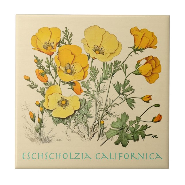 California Poppy Kakelplatta (Framsidan)