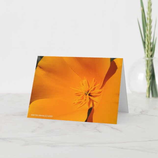California Poppy Kort (Framsida)
