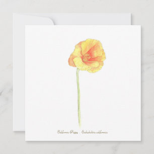 California Poppy Kort
