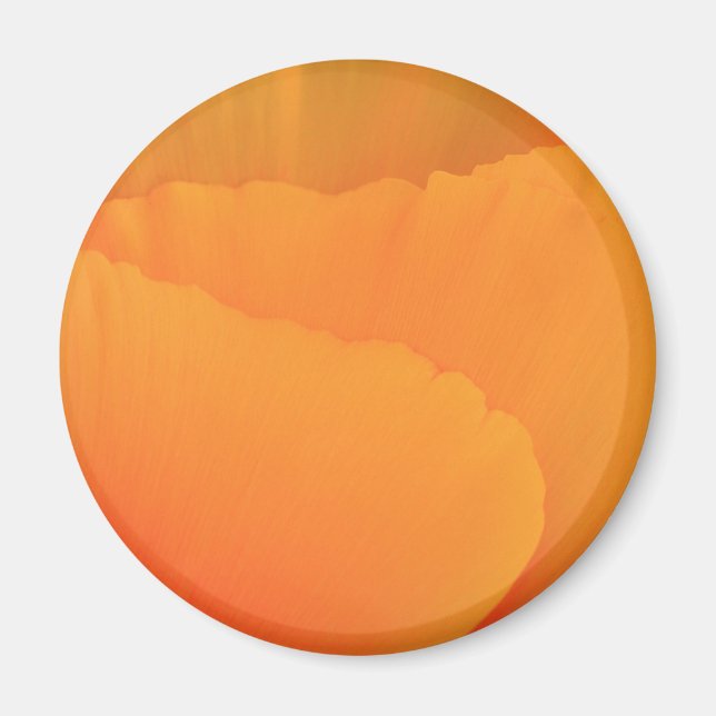California Poppy Magnet (Framsidan)