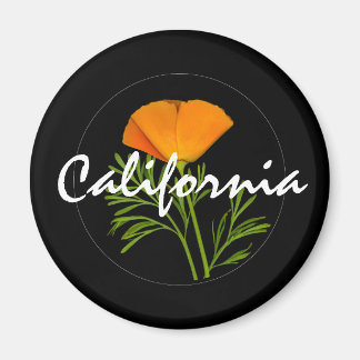 California Poppy on Black med "California" text Magnet