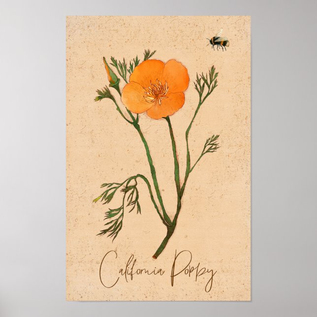 California Poppy Orange Botanical Wildblomma Poster (Framsidan)