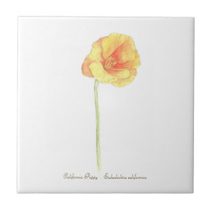 California Poppy Stone Underlägg