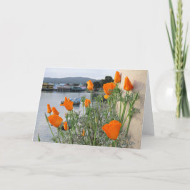 California Poppy Tack Kort