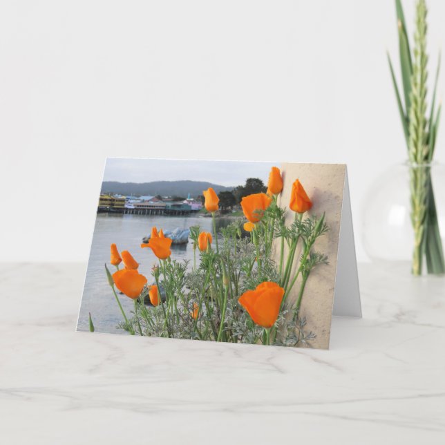 California Poppy Tack Kort (Framsida)
