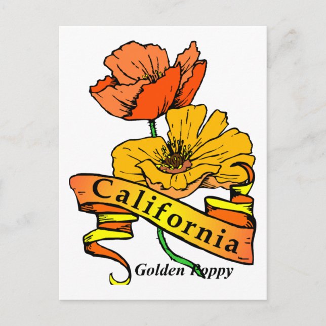 California Poppy Vykort (Framsida)