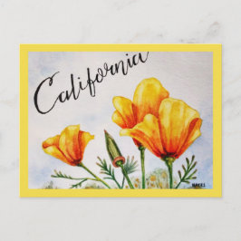 California Poppy Vykort
