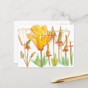 California Poppy WildblomBotanical Bläck Sketch Vykort