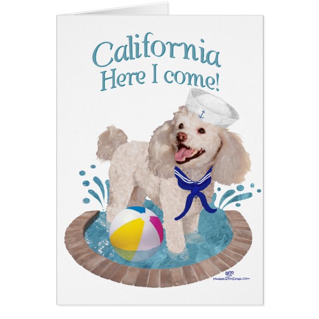 California Pudel Hälsningskort (Framsidan)