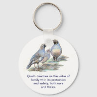 California Quail, Animal Totem, Guide, natur