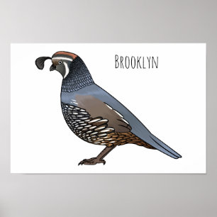 California quail bird cartoon illustration  poster