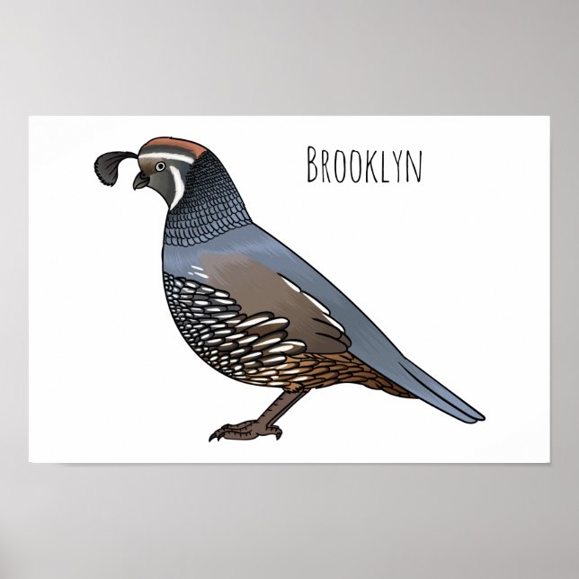 California quail bird cartoon illustration  poster (Framsidan)