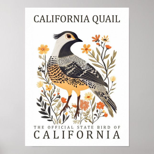 California Quail Bird of California USA Travel Poster (Framsidan)