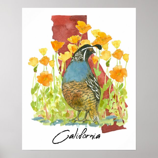 California Quail Bird Poppies State Shape Poster (Framsidan)